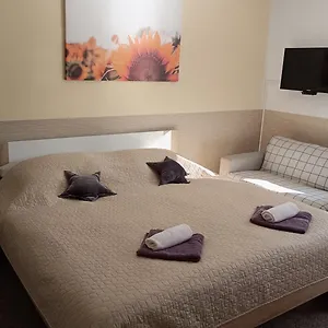 Apartament Svitkov 79